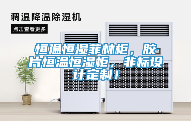 恒溫恒濕菲林櫃，膠片恒溫恒濕櫃，非標設計定製！