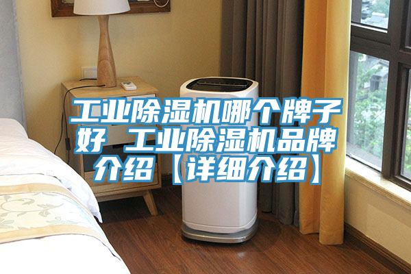 工業草莓污视频在线看哪個牌子好 工業草莓污视频在线看品牌介紹【詳細介紹】