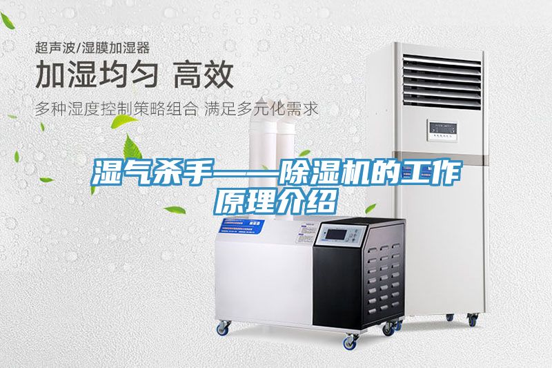濕氣殺手——草莓污视频在线看的工作原理介紹