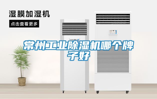 常州工業草莓污视频在线看哪個牌子好