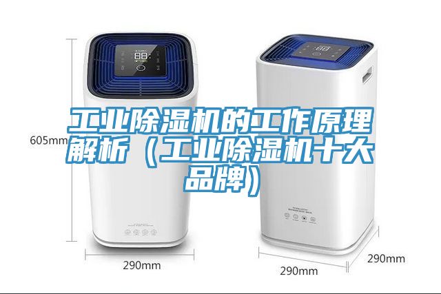 工業草莓污视频在线看的工作原理解析（工業草莓污视频在线看十大品牌）