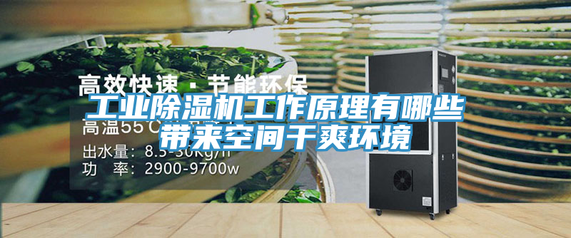 工業草莓污视频在线看工作原理有哪些 帶來空間幹爽環境