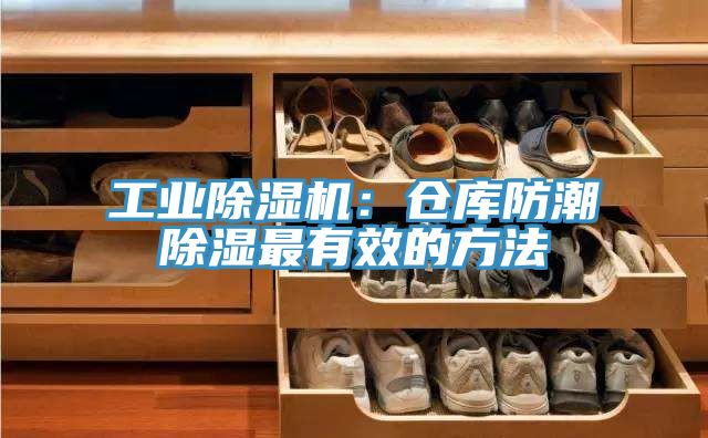 工業草莓污视频在线看：倉庫防潮除濕最有效的方法