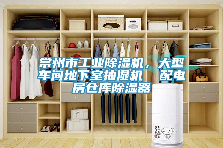 常州市工業草莓污视频在线看，大型車間地下室抽濕機  配電房倉庫除濕器