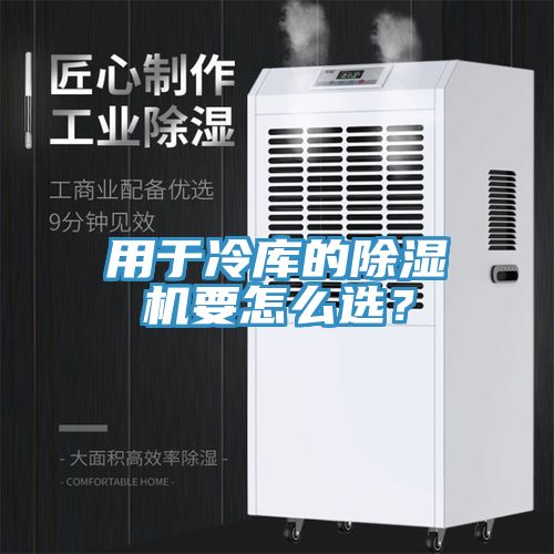用於冷庫的草莓污视频在线看要怎麽選？