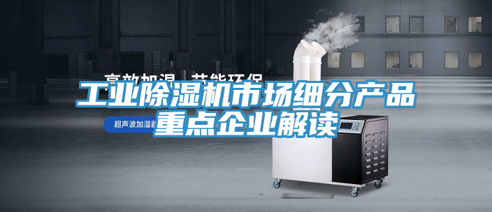 工業草莓污视频在线看市場細分產品重點企業解讀