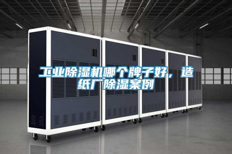 工業草莓污视频在线看哪個牌子好，造紙廠除濕案例