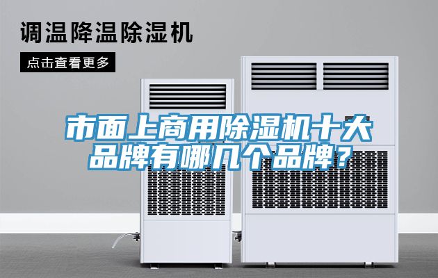 市麵上商用草莓污视频在线看十大品牌有哪幾個品牌？