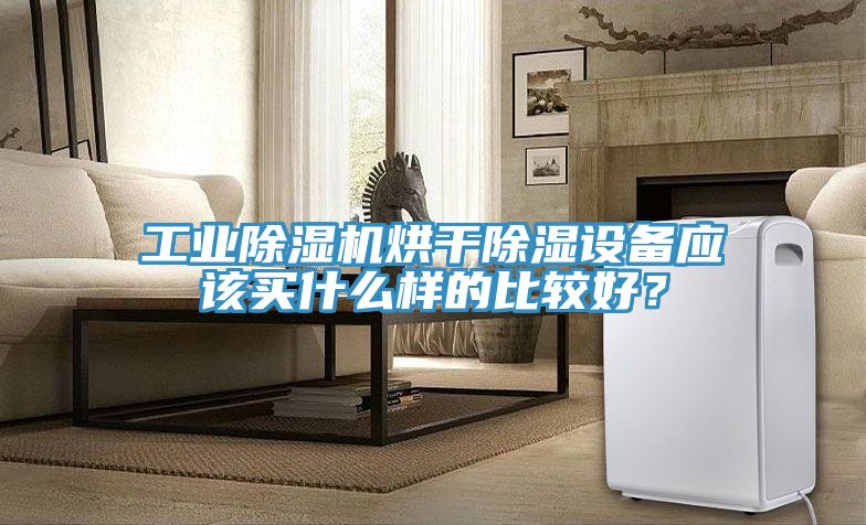 工業草莓污视频在线看烘幹除濕設備應該買什麽樣的比較好？