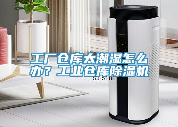 工廠倉庫太潮濕怎麽辦？工業倉庫草莓污视频在线看