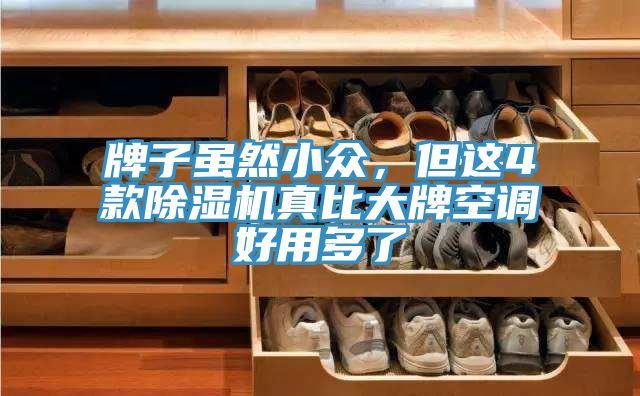 牌子雖然小眾，但這4款草莓污视频在线看真比大牌空調好用多了