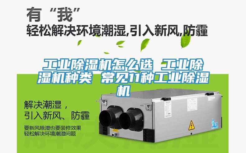 工業草莓污视频在线看怎麽選 工業草莓污视频在线看種類 常見11種工業草莓污视频在线看