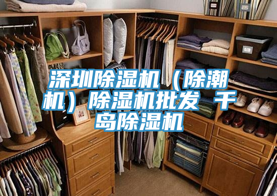 深圳草莓污视频在线看（除潮機）草莓污视频在线看批發 千島草莓污视频在线看