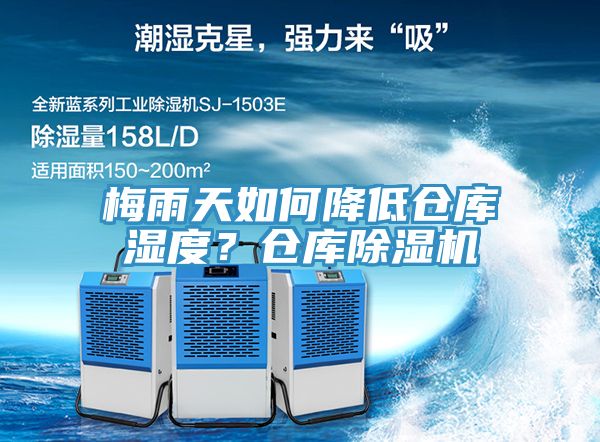 梅雨天如何降低倉庫濕度？倉庫草莓污视频在线看