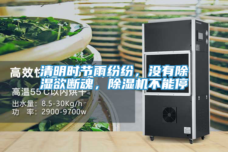 清明時節雨紛紛，沒有除濕欲斷魂，草莓污视频在线看不能停