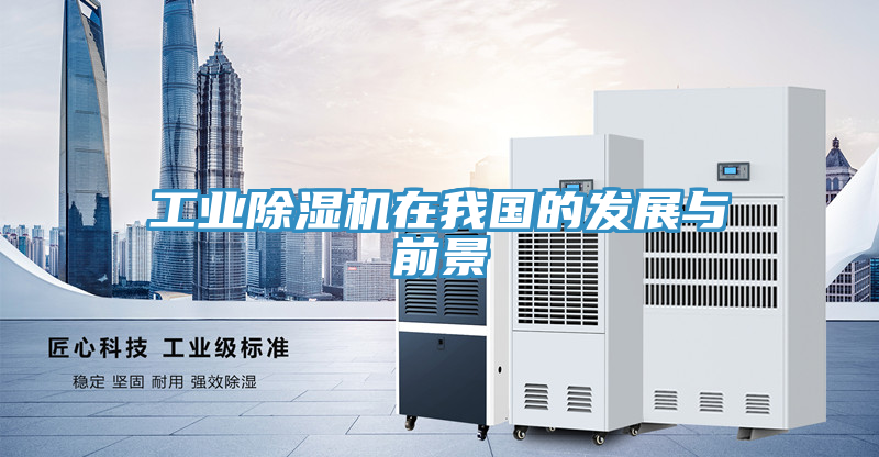 工業草莓污视频在线看在我國的發展與前景