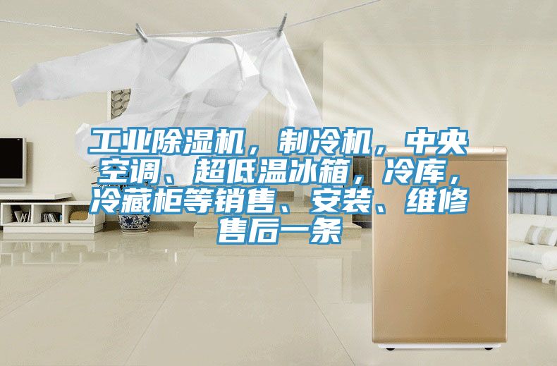 工業草莓污视频在线看，製冷機，中央空調、超低溫冰箱，冷庫，冷藏櫃等銷售、安裝、維修售後一條