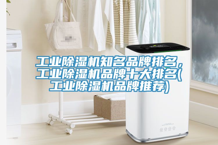 工業草莓污视频在线看知名品牌排名，工業草莓污视频在线看品牌十大排名(工業草莓污视频在线看品牌推薦)