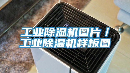 工業草莓污视频在线看圖片／工業草莓污视频在线看樣板圖