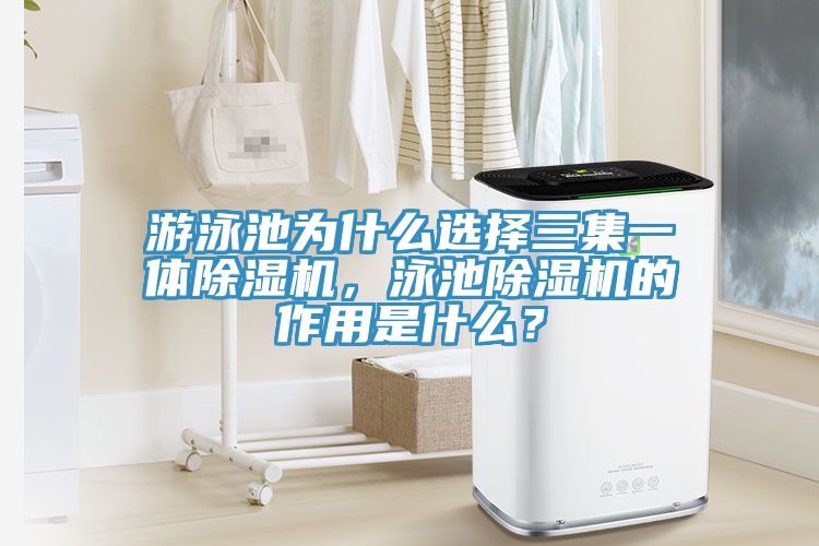 遊泳池為什麽選擇三集一體草莓污视频在线看，泳池草莓污视频在线看的作用是什麽？