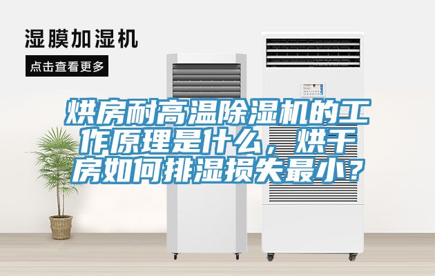 烘房耐高溫草莓污视频在线看的工作原理是什麽，烘幹房如何排濕損失最小？