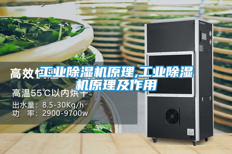 工業草莓污视频在线看原理,工業草莓污视频在线看原理及作用