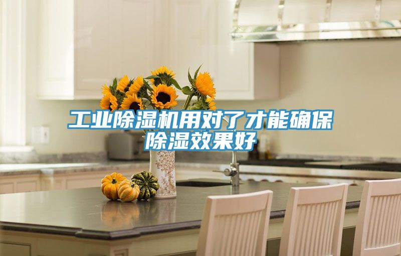 工業草莓污视频在线看用對了才能確保除濕效果好
