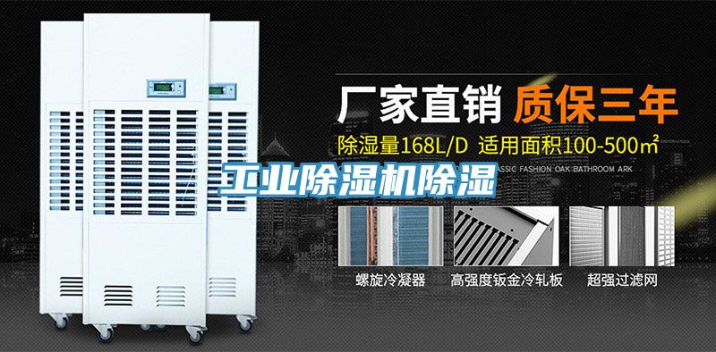 工業草莓污视频在线看除濕