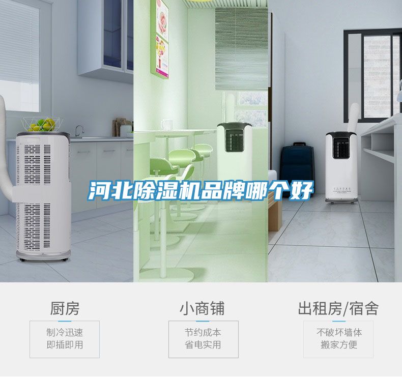 河北草莓污视频在线看品牌哪個好