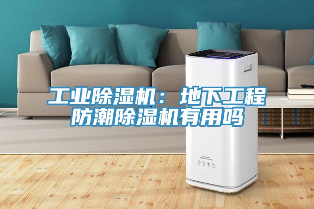 工業草莓污视频在线看：地下工程防潮草莓污视频在线看有用嗎