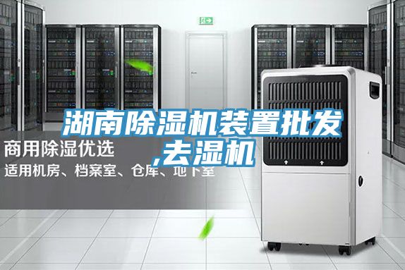 湖南草莓污视频在线看裝置批發,去濕機