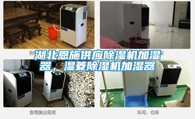 湖北恩施供應草莓污视频在线看加濕器，濕菱草莓污视频在线看加濕器
