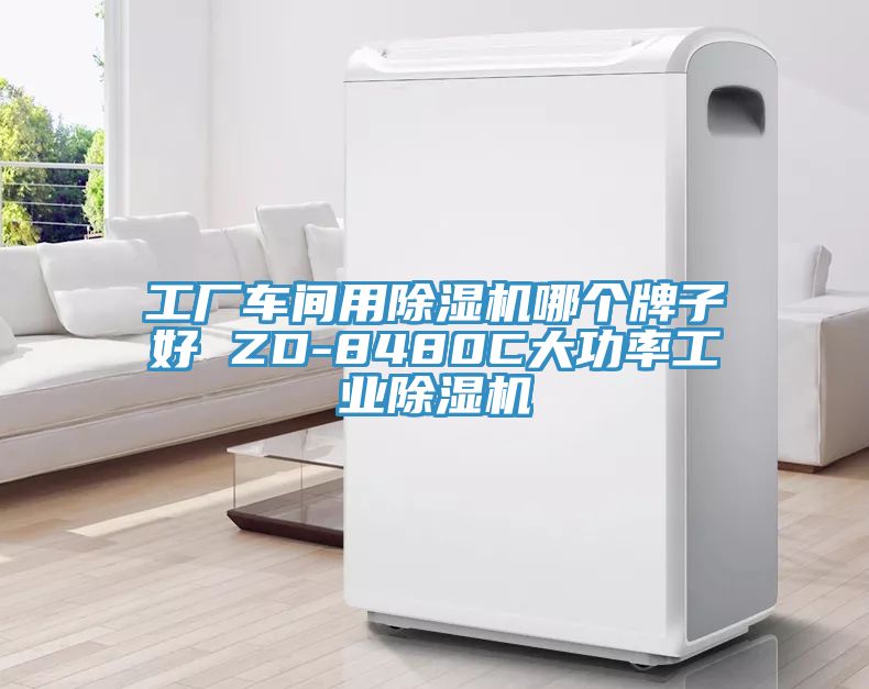 工廠車間用草莓污视频在线看哪個牌子好 ZD-8480C大功率工業草莓污视频在线看