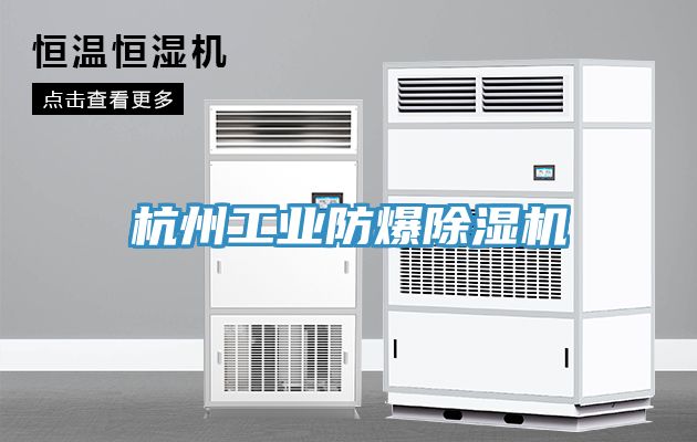 杭州工業防爆草莓污视频在线看