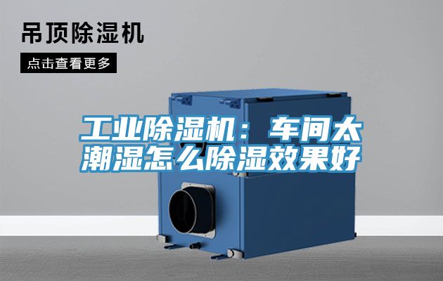工業草莓污视频在线看：車間太潮濕怎麽除濕效果好