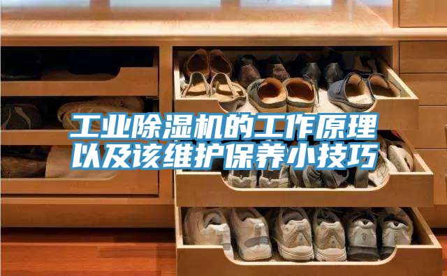 工業草莓污视频在线看的工作原理以及該維護保養小技巧