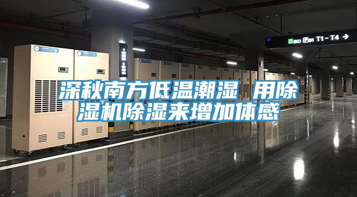 深秋南方低溫潮濕 用草莓污视频在线看除濕來增加體感