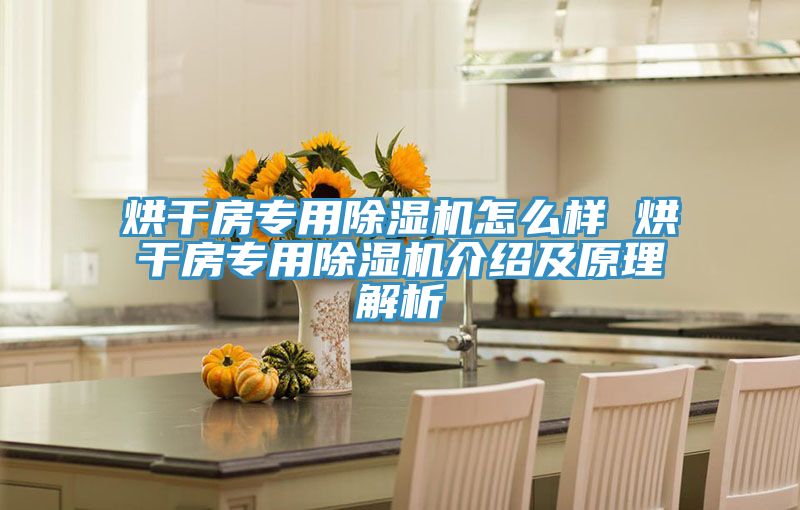 烘幹房專用草莓污视频在线看怎麽樣 烘幹房專用草莓污视频在线看介紹及原理解析