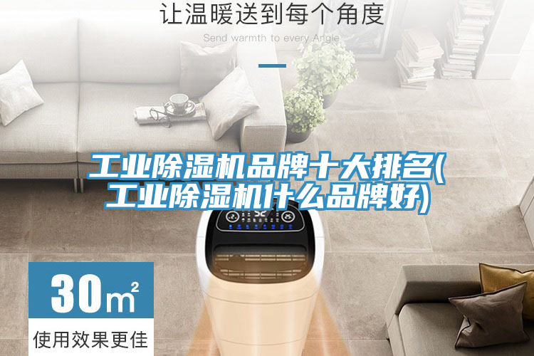 工業草莓污视频在线看品牌十大排名(工業草莓污视频在线看什麽品牌好)