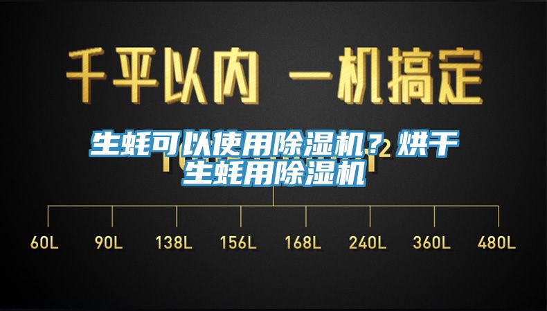 生蠔可以使用草莓污视频在线看？烘幹生蠔用草莓污视频在线看