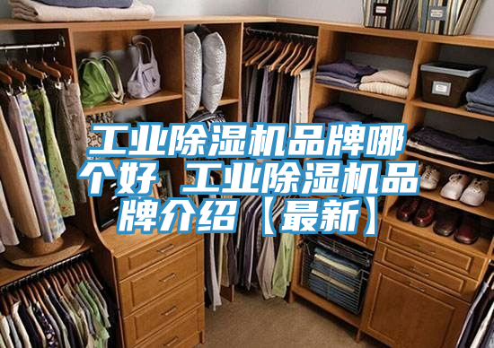 工業草莓污视频在线看品牌哪個好 工業草莓污视频在线看品牌介紹【最新】