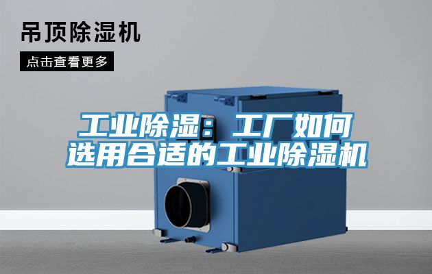 工業除濕：工廠如何選用合適的工業草莓污视频在线看