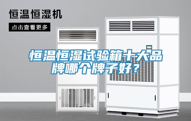 恒溫恒濕試驗箱十大品牌哪個牌子好？