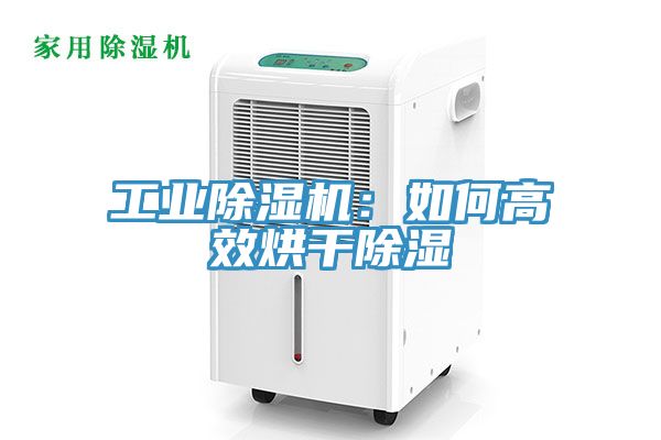工業草莓污视频在线看：如何高效烘幹除濕