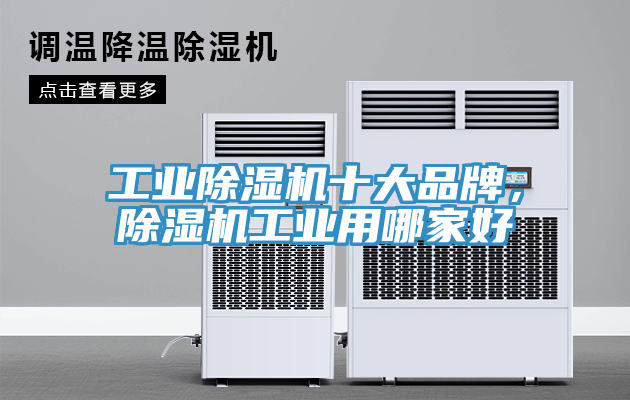 工業草莓污视频在线看十大品牌，草莓污视频在线看工業用哪家好