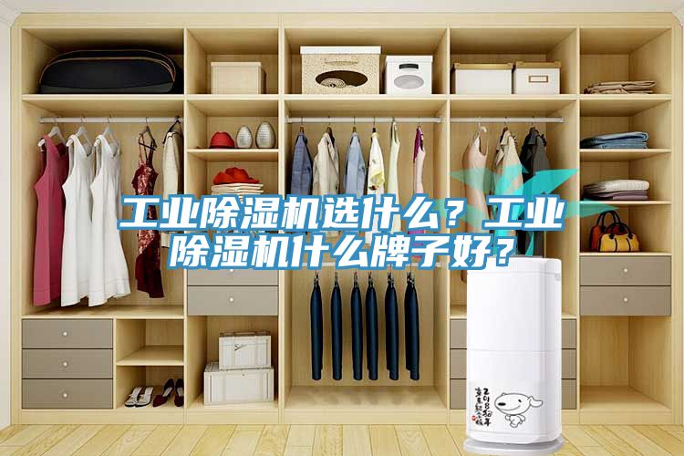 工業草莓污视频在线看選什麽？工業草莓污视频在线看什麽牌子好？