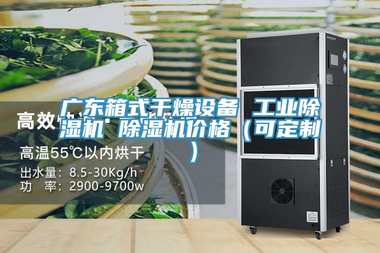 廣東箱式幹燥設備 工業草莓污视频在线看 草莓污视频在线看價格（可定製）