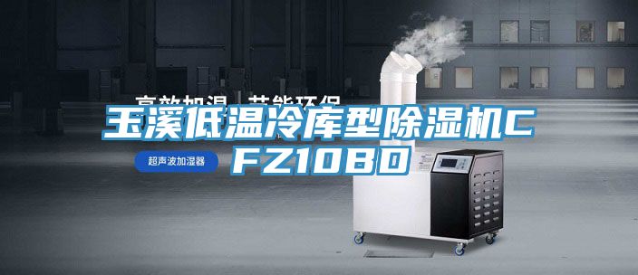 玉溪低溫冷庫型草莓污视频在线看CFZ10BD