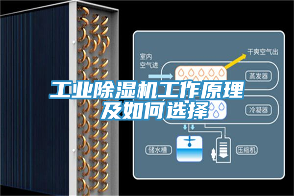 工業草莓污视频在线看工作原理 及如何選擇
