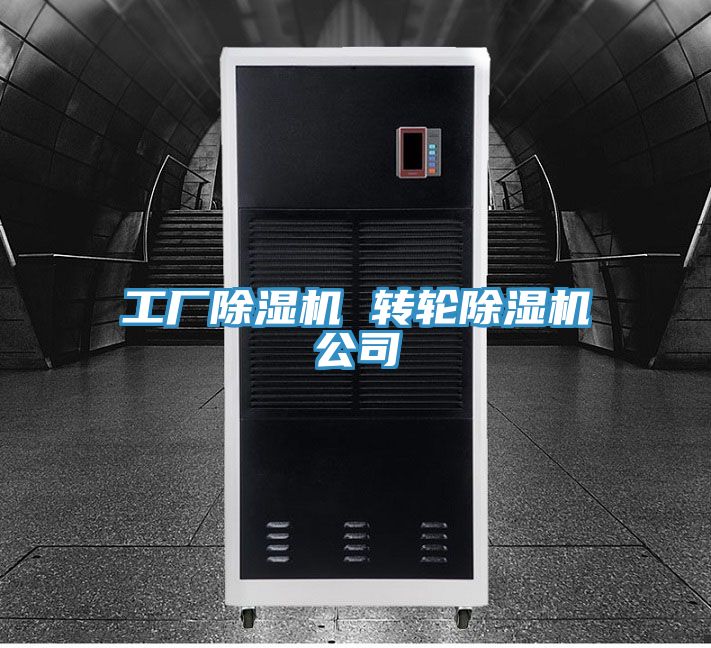 工廠草莓污视频在线看 轉輪草莓污视频在线看公司